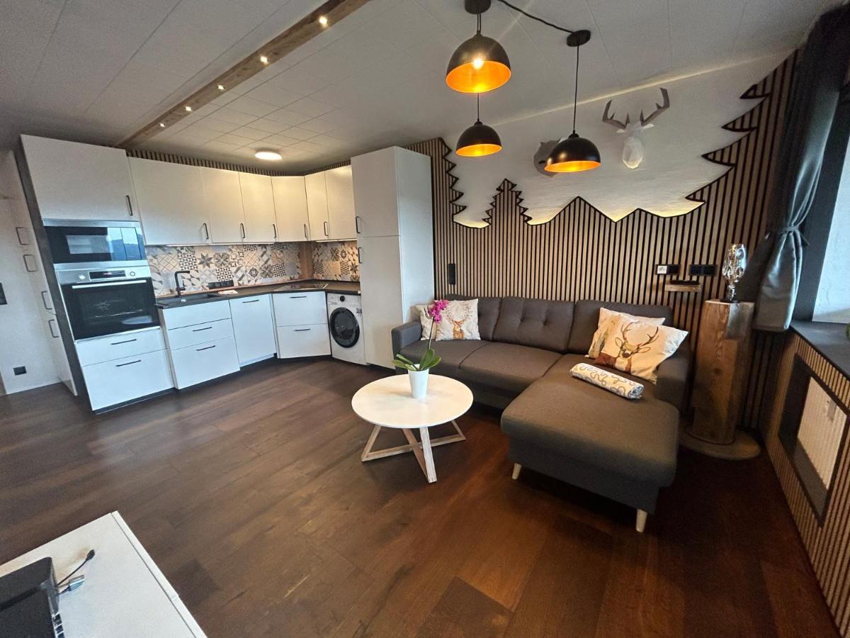 Apartment Fabelwald Black Forest Schonach im Schwarzwald Εξωτερικό φωτογραφία